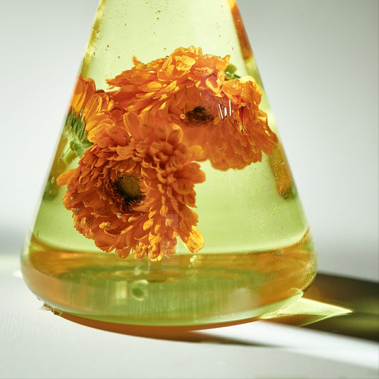 Calendula: The Oldest Skincare Ingredient That's Still Beating Everything Else