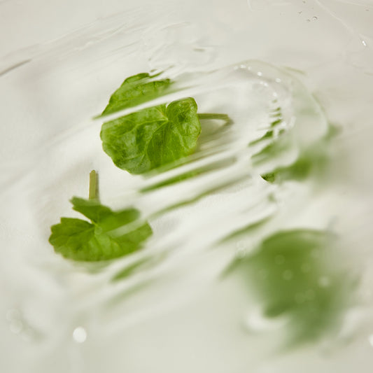 The Duo That Calms and Clears: Centella + Tea Tree