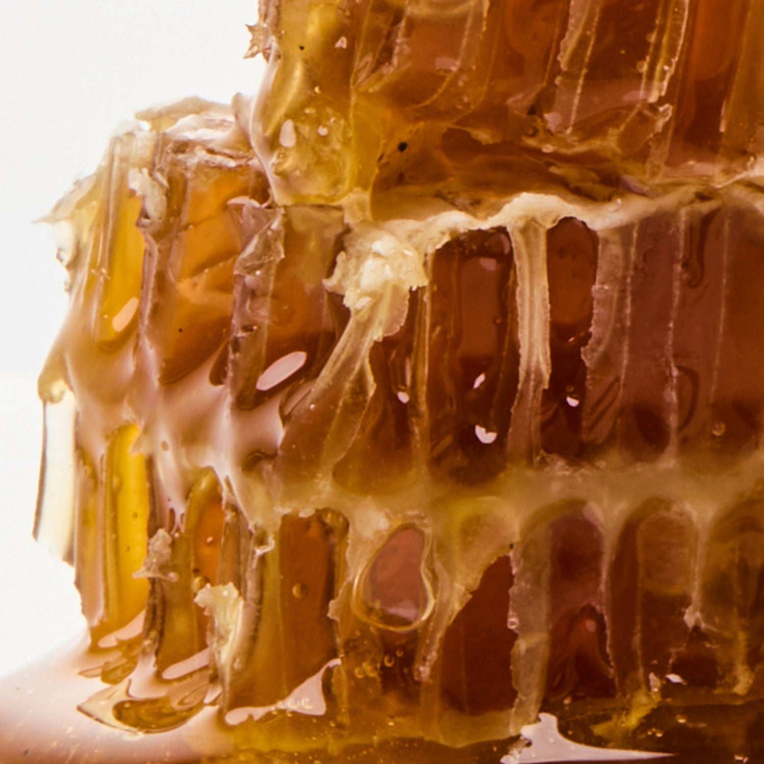 Propolis Vitamin