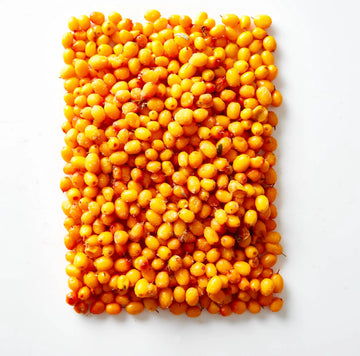 <strong>What Sea Buckthorn Does Differently</strong>