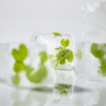 <strong>Then What Is Cica?</strong>