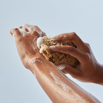 <strong>The Body Routine</strong>