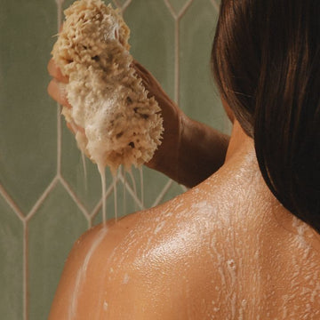 Because Your Body Skin Has a Barrier, Too