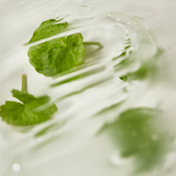 <strong>Why Calming Care Matters</strong>