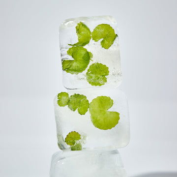 <strong>Ingredient Spotlight</strong>