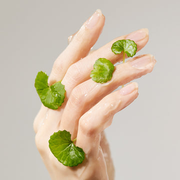 <strong>Centella: The Soother</strong>