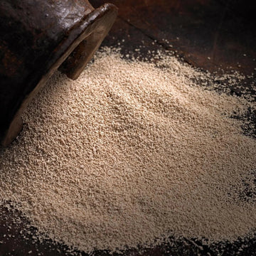 <strong>What Is Galactomyces Ferment Filtrate?</strong>